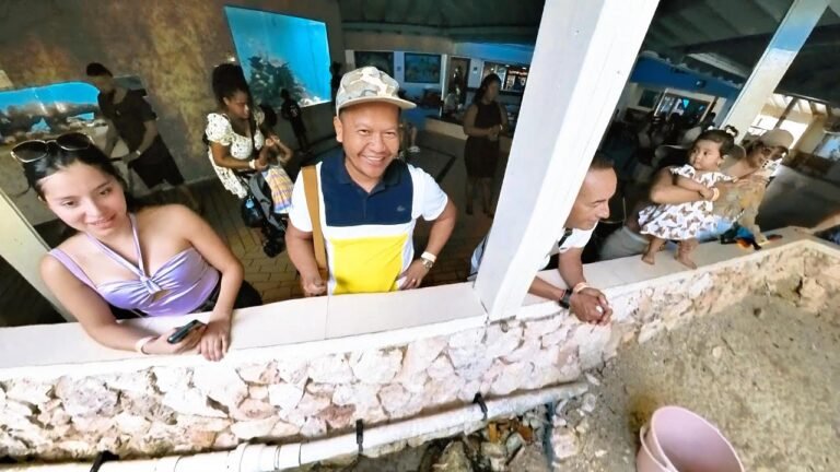 Dive into Adventure: What to Expect at Curaçao Sea Aquarium!