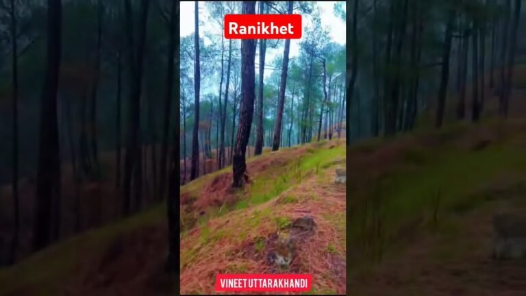 travel video #viralvideo #trending #youtubeshort #viralshort #travel #short