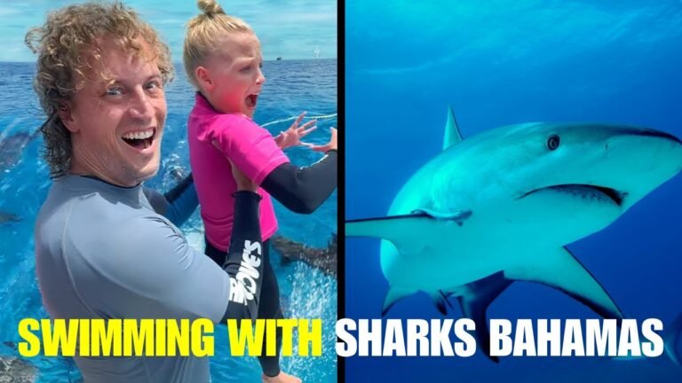 Swimming with Sharks in the Bahamas – A Thrilling Experience! – Travel Video