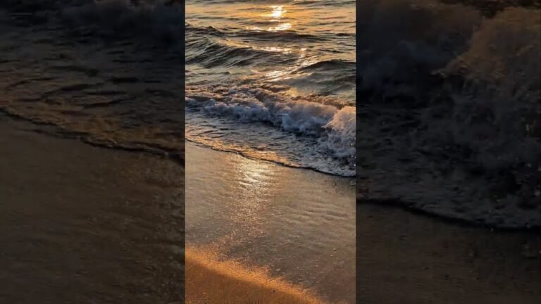 Wonders Of New Zealand Beach Video 2023 #visit #beach #facts #travel #holiday #nature #newzealand