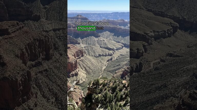 No. 1 Mistake to avoid when visiting the Grand Canyon # grandcanyonnationalpark #usnationalparks