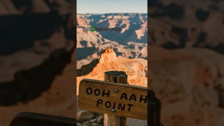 Tip for Visiting Grand Canyon National Park No. 8 #grandcanyon ##usnationalparks #TravelTips