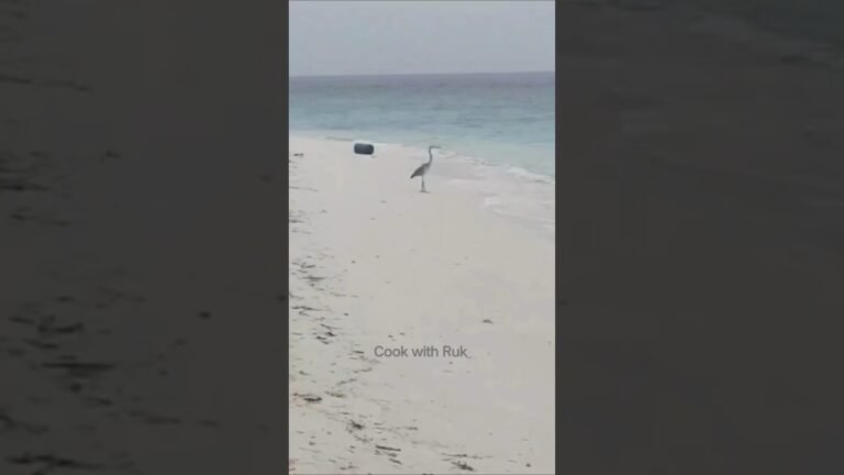 Kaho Na Pyaar Hai❤️ Maldives Island🏝️#shortsfeed #shorts #viralsong #hindisong #love #viralvideos