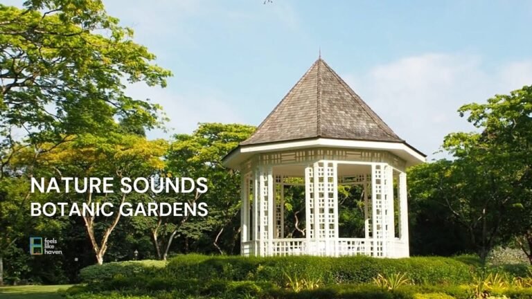 Singapore Botanic Gardens ASMR Walk 🌿 | Gentle Music & Nature Sounds for Relaxation