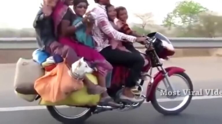Funny Videos 2016 | Best Whatsapp Funny Videos | Try Not To Laugh