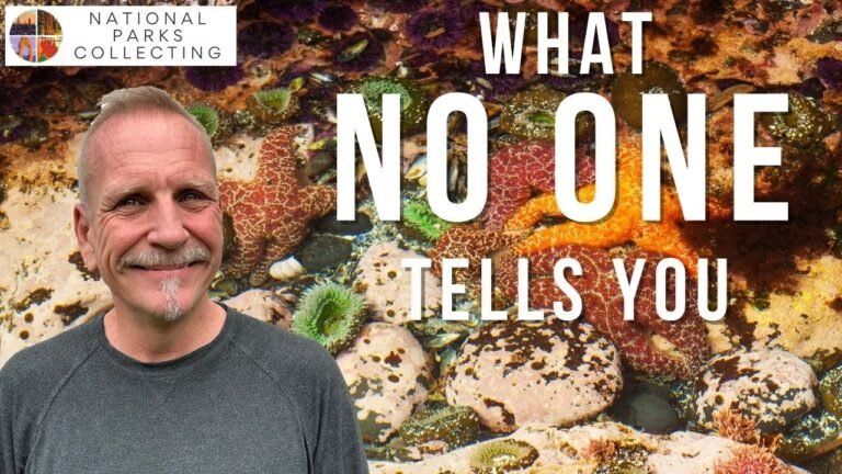 Tips for Visiting Olympic National Park: 12 Things To Know Before You Go