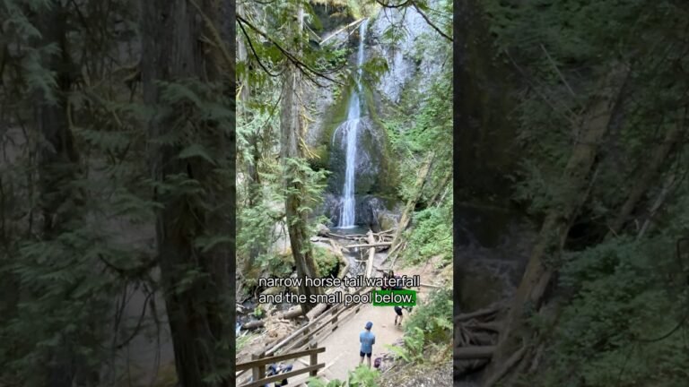 Best Hikes in Olympic National Park No. 3 #OlympicNationalPark #USNationalParks #hiking