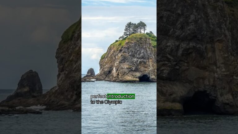 Best Olympic National Park Beach No. 1 #olympic #olympicnationalpark #usnationalparks #bucketlist