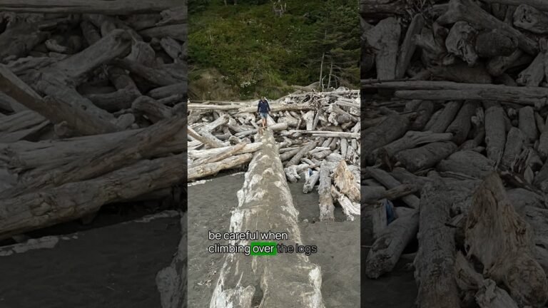 Best Olympic National Park Beach No. 3 #olympic #olympicnationalpark #usnationalparks #bucketlist