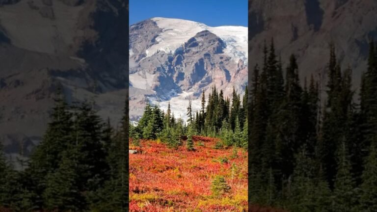 Tip to Visit Mount Rainier National Park No. 7 #mtrainier #mountrainier #usnationalparks traveltips